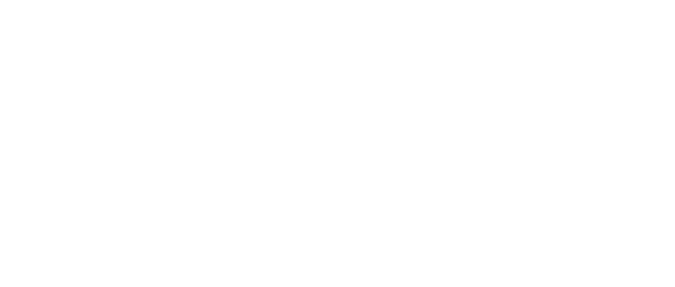 Bingo Bar Crawl logo