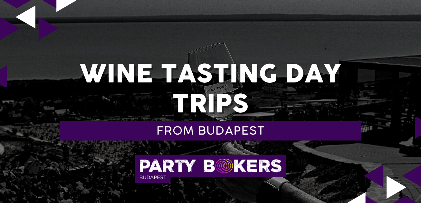 Wine Tasting Day Trips from Budapest image